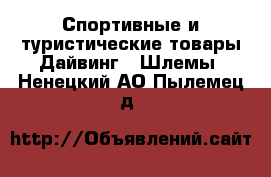 Спортивные и туристические товары Дайвинг - Шлемы. Ненецкий АО,Пылемец д.